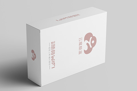 设计公司案例随身WIFI